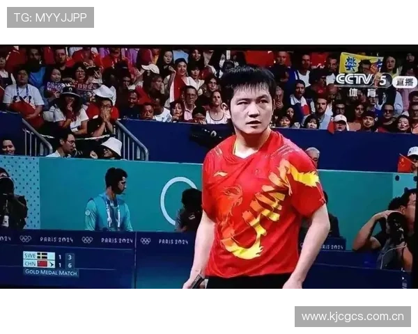 德媒称樊振东回国缺席德甲比赛